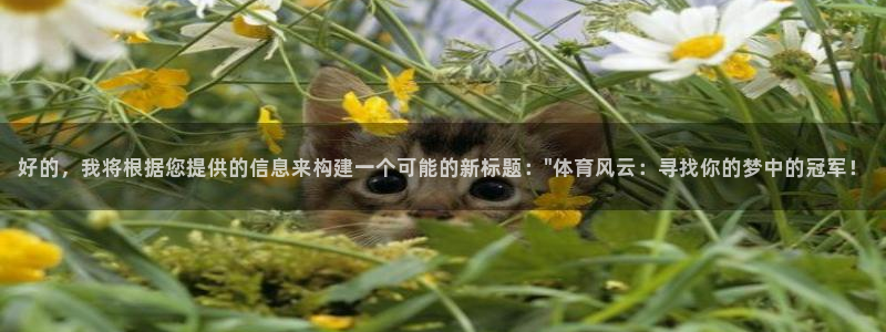 好的，我将根据您提供的信息来构建一个可能的新标题：\