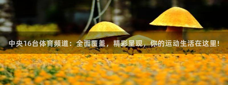 中央16台体育频道：全面覆盖，精彩呈现，你的运动生活在这里!