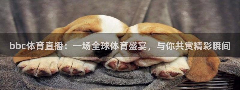 bbc体育直播：一场全球体育盛宴，与你共赏精彩瞬间