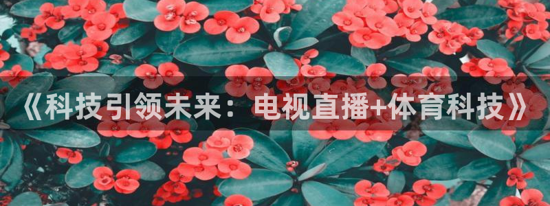 《科技引领未来：电视直播+体育科技》