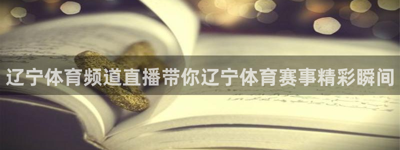 辽宁体育频道直播带你辽宁体育赛事精彩瞬间
