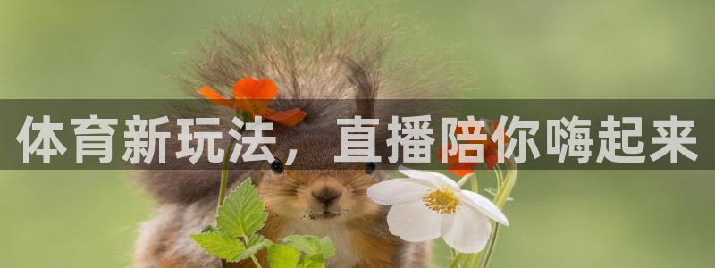 体育新玩法，直播陪你嗨起来