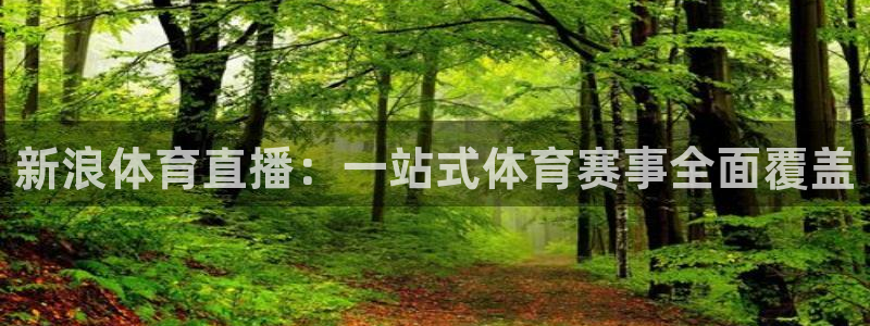 新浪体育直播：一站式体育赛事全面覆盖