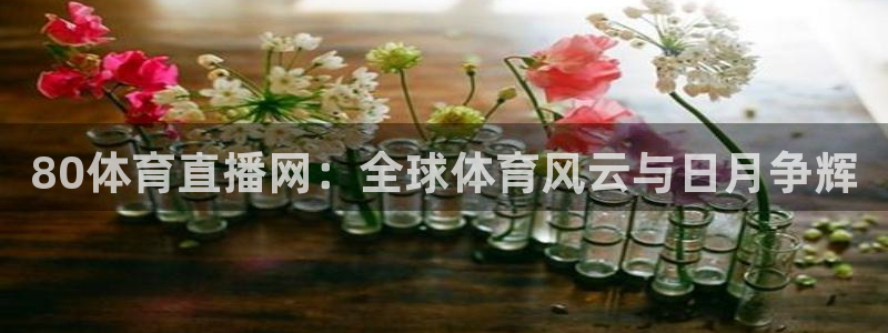 80体育直播网：全球体育风云与日月争辉