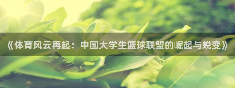 《体育风云再起：中国大学生篮球联盟的崛起与蜕变》