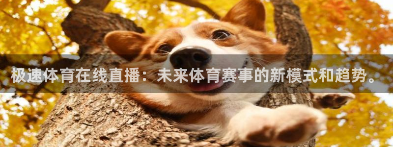 极速体育在线直播：未来体育赛事的新模式和趋势。